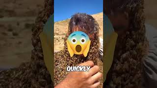 Bees Swarm On Face 😲🐝 shorts trendingshorts [upl. by Nomyar]