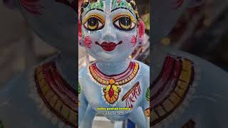 blue colour laddu Gopal 12 number bahut Sundar krishna [upl. by Ardnahcal273]