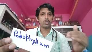 Podophyllum 30  Podophyllum200  Homoeopathic Medicine Podophyllum Homoeopathic Uses in Bangali [upl. by Fausta22]