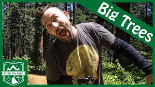 S1E11 Calaveras Big Trees State Park  North Grove  May 27th 2017 [upl. by Amlez]