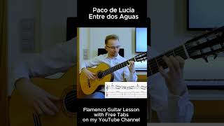 Entre dos Aguas  Paco de Lucia Part 1 flamencoguitar entredosaguas pacodelucia guitar [upl. by Yuh]