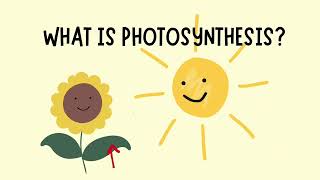 Photosynthesis Explained photosynthesis [upl. by Caren198]