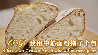 我用中筋面粉撸了个包 Baking an Artisan Bread with AllPurpose Flour I 如何拯救错误面团 Rescue baking mess dough [upl. by Eelesor]