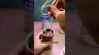 Plant portulaca in can so beautiful shortvideo portulaca floweringplant gardenflower bonsai [upl. by Nirro]