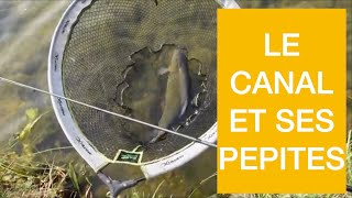 Le canal et ses pépites 4K [upl. by Adiaros]