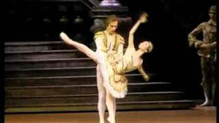 1983 Rudolf Nureyev amp Yoko Morishita Sleeping Beauty PDD Ballet [upl. by Borreri]