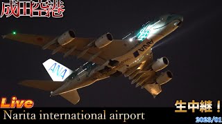 【Narita International Airport Live 】成田空港 生中継📸✈️💨】【Gibson Narita】 [upl. by Nabru]