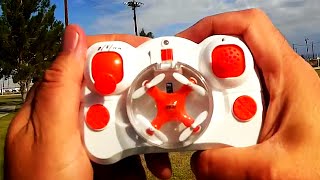 Floureon FX 10 Pocket Drone Review [upl. by Nemrac488]