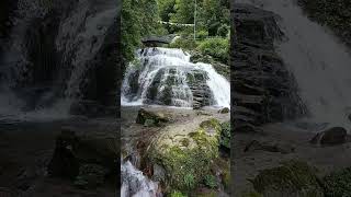 Waterfall at darjeeling [upl. by Dorrehs]