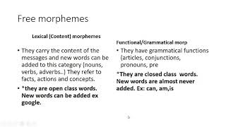 Morphology Types of Morphemes [upl. by Gimble621]