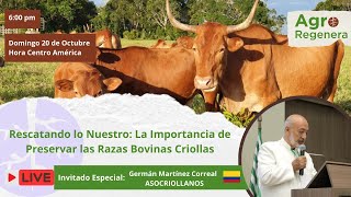 Rescatando lo nuestro La importancia de preservar las razas bovinas criollas [upl. by Annayd]