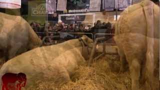 Salon de lagriculture visite  rassemblement contre lexploitation animale 03032012 [upl. by Yendahc]