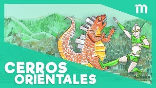 ¿Construir en los Cerros Orientales de Bogotá [upl. by Terra]