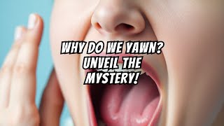 Why Do We Yawn The Science Behind Boredom and Contagious Yawns facts trivia didyouknow [upl. by Aeila617]