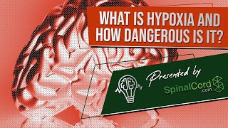 Hypoxia Definition Causes Symptoms and Treatment What is hypoxia and how dangerous is it [upl. by Eeldarb120]