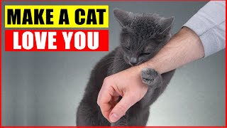 10 Scientific Ways to Get a Cat to Like You [upl. by Trenna]