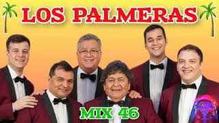 los palmeras megamix de exitos [upl. by Neevan244]