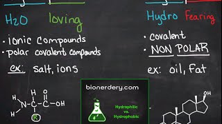 Hydrophilic vs Hydrophobic [upl. by Trin]