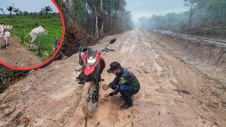 PEGAMOS MUITA CHUVA E ATOLAMOS NO NOSSO ATERRO FOI O JEITO RANCAR TUDO [upl. by Cthrine998]