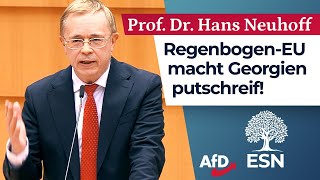 RegenbogenEU macht Georgien putschreif  Prof Dr Hans Neuhoff AfD [upl. by Siocnarf59]