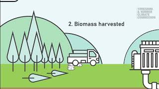 What is bioenergy with carbon capture and storage BECCS [upl. by Attem]