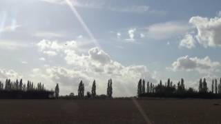 Norfolk partridge Burlingham shoot [upl. by Strep]