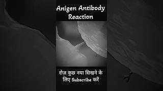 Antigen Antibody Reaction dadhichsir bsc neet shorts youtubeshorts [upl. by Aekin]