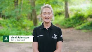 Ash Dieback disease in Surrey’s countryside [upl. by Conlon921]