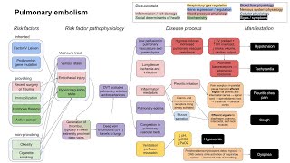 Pulmonary embolism mechanism of disease [upl. by Nedah535]