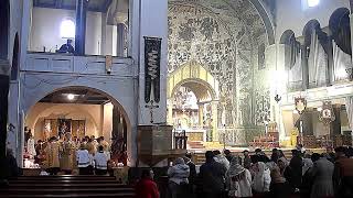 FSSP Livestreaming  Heilige Mis Zondag 19 november 2023 Heilig Vormsel [upl. by Basia]