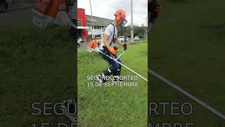 Guadañadora Stihl FS 235 shorts [upl. by Cleodell]