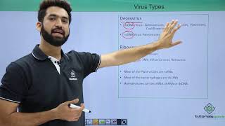 Class 11th – Virus – Types  Biological Classification  Tutorials Point [upl. by Oehsen]