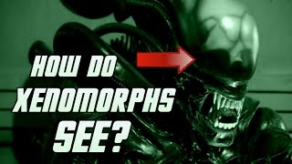 How Do Xenomorphs See  Explained [upl. by Denzil893]