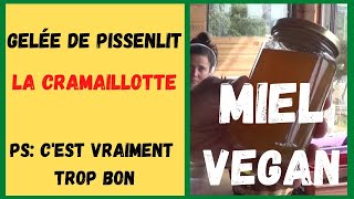 Gelée de FLEURS de PISSENLIT la cramaillotte  le MIEL VEGAN [upl. by Ausoj]