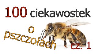 100 Ciekawostek o Pszczołach cz 1 [upl. by Marianna52]