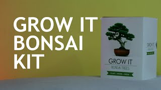 Grow It Bonsai Kit 06 months Part 1 [upl. by Ardine]