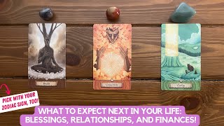 What to Expect Next in Your Life Blessings Relationships and Finances  Timeless Reading [upl. by Orran254]