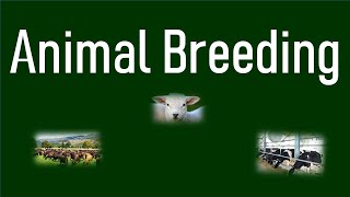 Introduction to Animal Breeding  Basic Terms in Animal Breeding [upl. by Heffron]