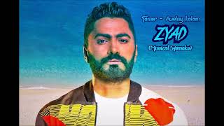 Tamer Hosni  Awelny kalam Musical Remake [upl. by Badr]