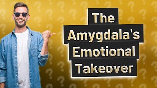 How Does an Amygdala Hijack Affect Our Emotions [upl. by Ahtaga]