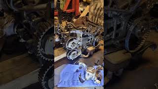 Ford 10 ecoboost engine tapping noise revealed [upl. by Nonnah]