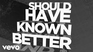 Hinder  Should Have Known Better Official Lyric Video [upl. by Darcee]