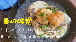 Ris de veau Morilles à la crèmeSweetbreads mortels with creamリードヴォーモリーユ茸のクリーム煮 [upl. by Wildermuth]