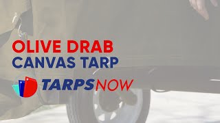 Tarps Now Olive Drab Heavy Duty Canvas Tarp with Grommets for Canopy Tent Roof Camping 18 oz [upl. by Dranrev19]