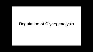 Regulation of Glycogenolysis mainly in the liver [upl. by Sokem]