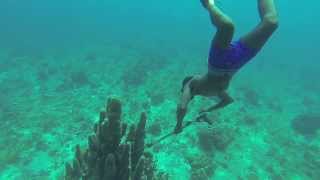 A professional spearfisherman at work in Negril Jamaica [upl. by Anin]