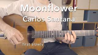 Moonflower  chord lesson with tab  gypsy style [upl. by Clarice]