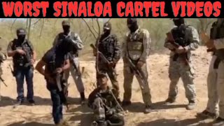 The Worst Cartel Videos Ever Released By The Sinaloa Cartel  A Journey Into The Depraved [upl. by Hannahs145]