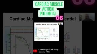 Cardiac Muscle Action Potential  Part6 shorts youtubeshorts youtube ytshorts [upl. by Eintihw]