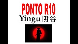 R10  yingu [upl. by Olmsted]